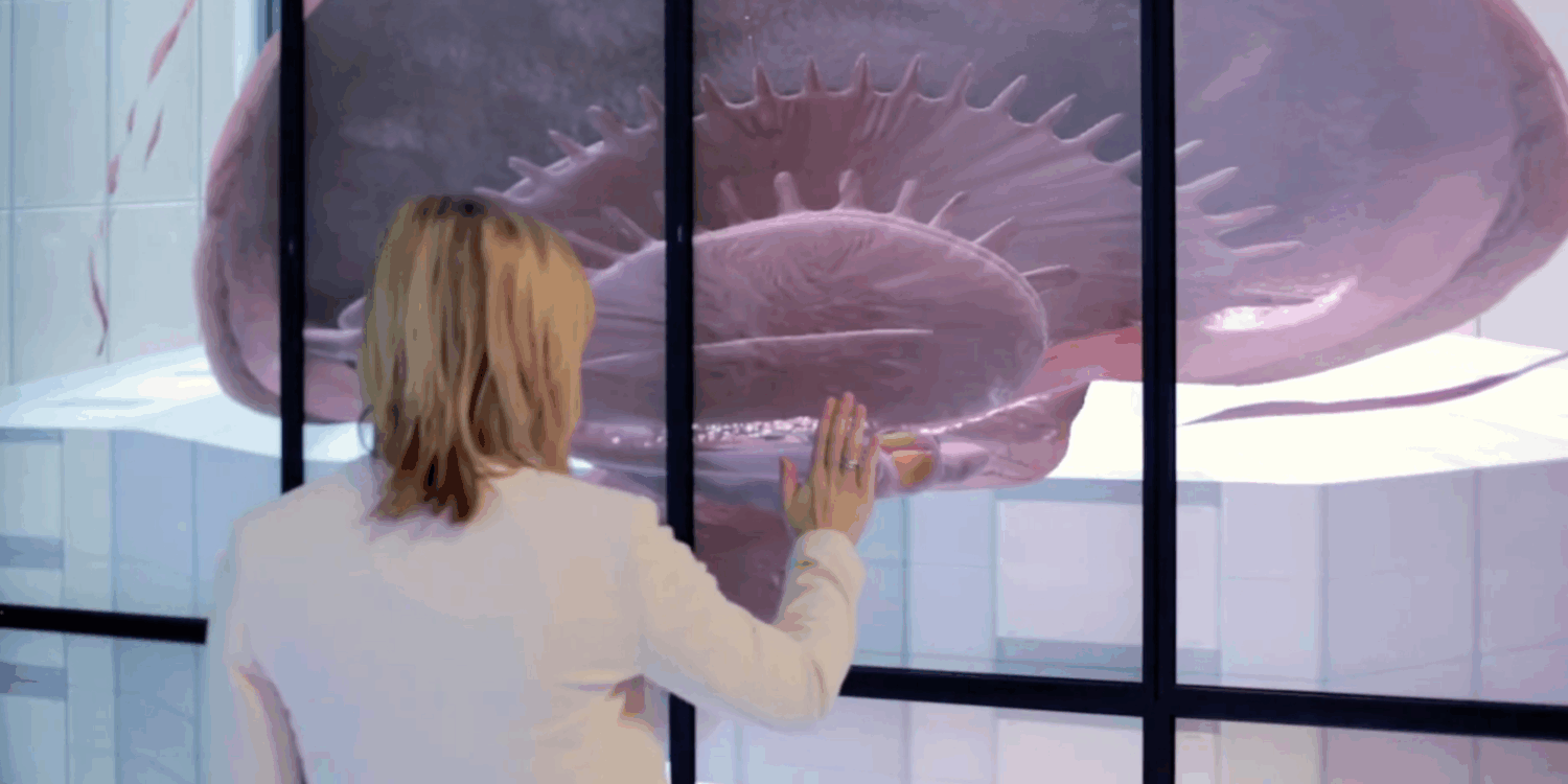 A woman touches what appears to be a pink and purple image of a jellyfish.