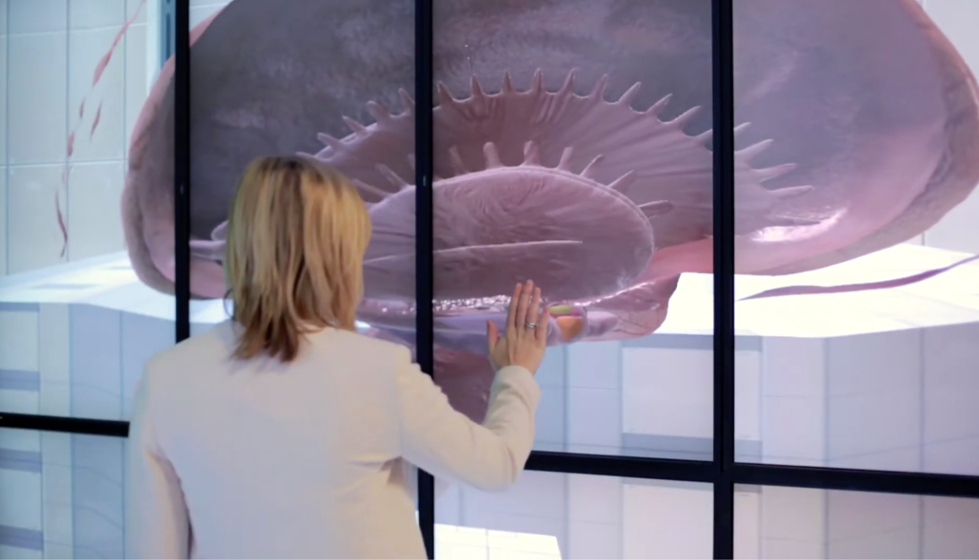 A woman touches what appears to be a pink and purple image of a jellyfish.